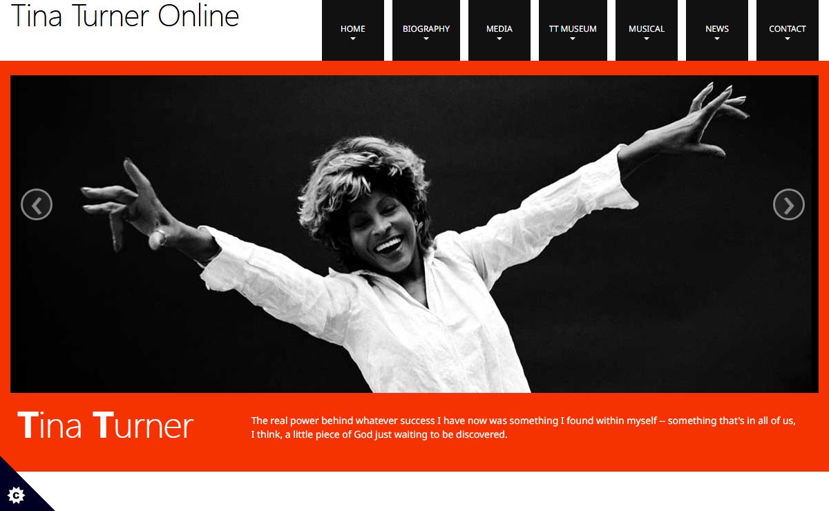 Tina Turner Online| Tina Turner news, video, audio, photos and articles