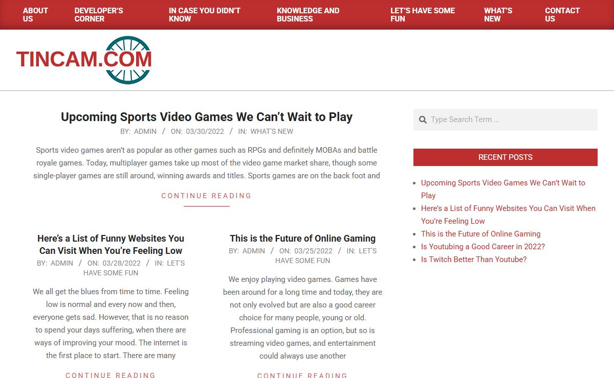 tincam.com