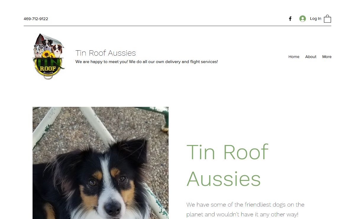 Home | Tin Roof Aussies