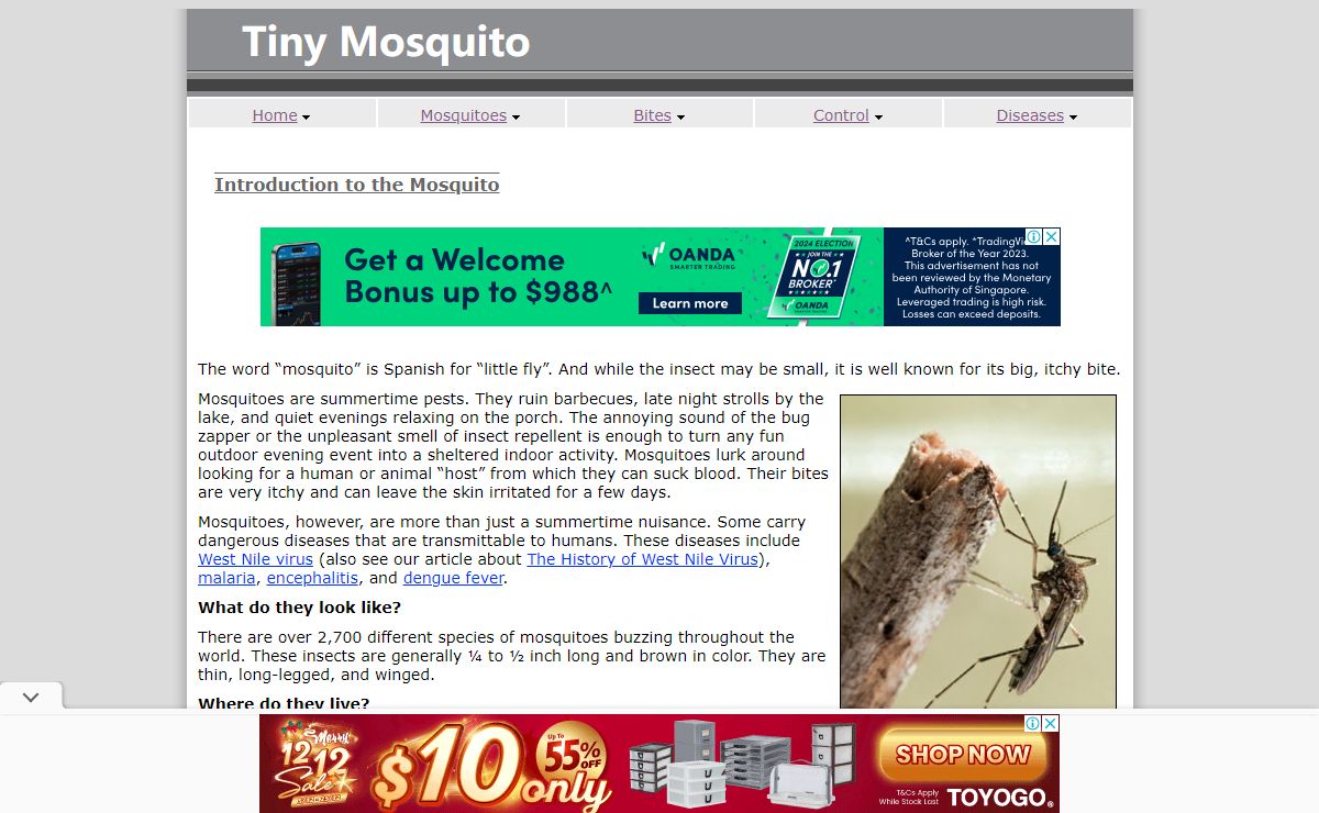 Tiny Mosquito: Understanding the Mosquito