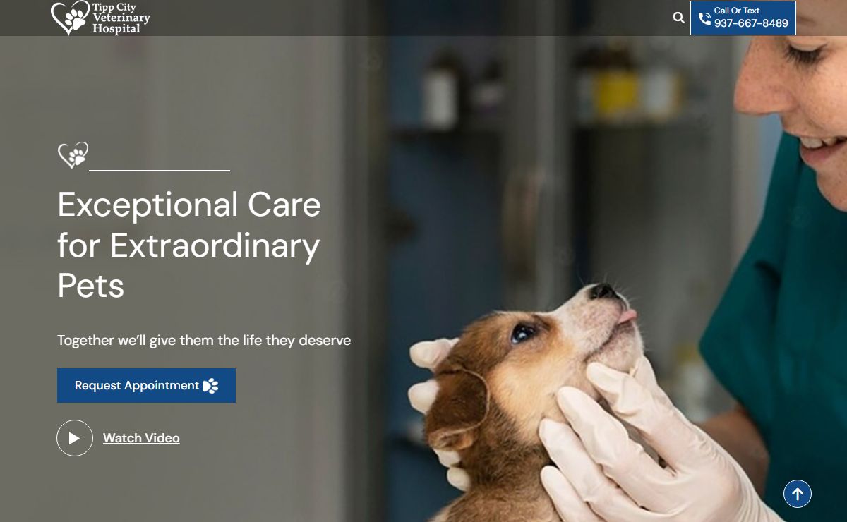 Tipp City Veterinary Hospital | Veterinarian for TPLO Surgery in Troy, Vandalia & Tipp City OH