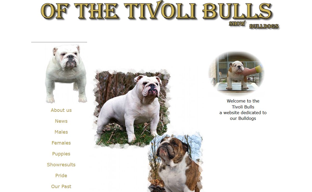 of the tivolibulls
