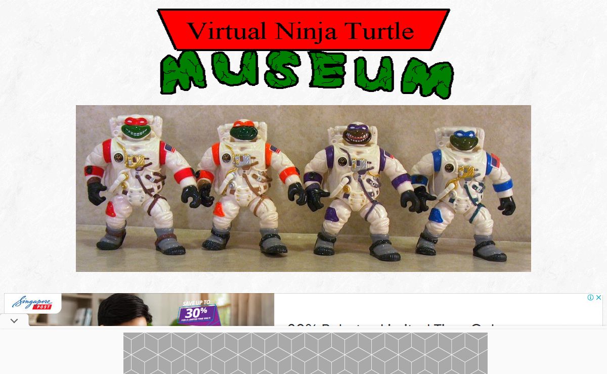 The Virtual Ninja Turtle Museum
