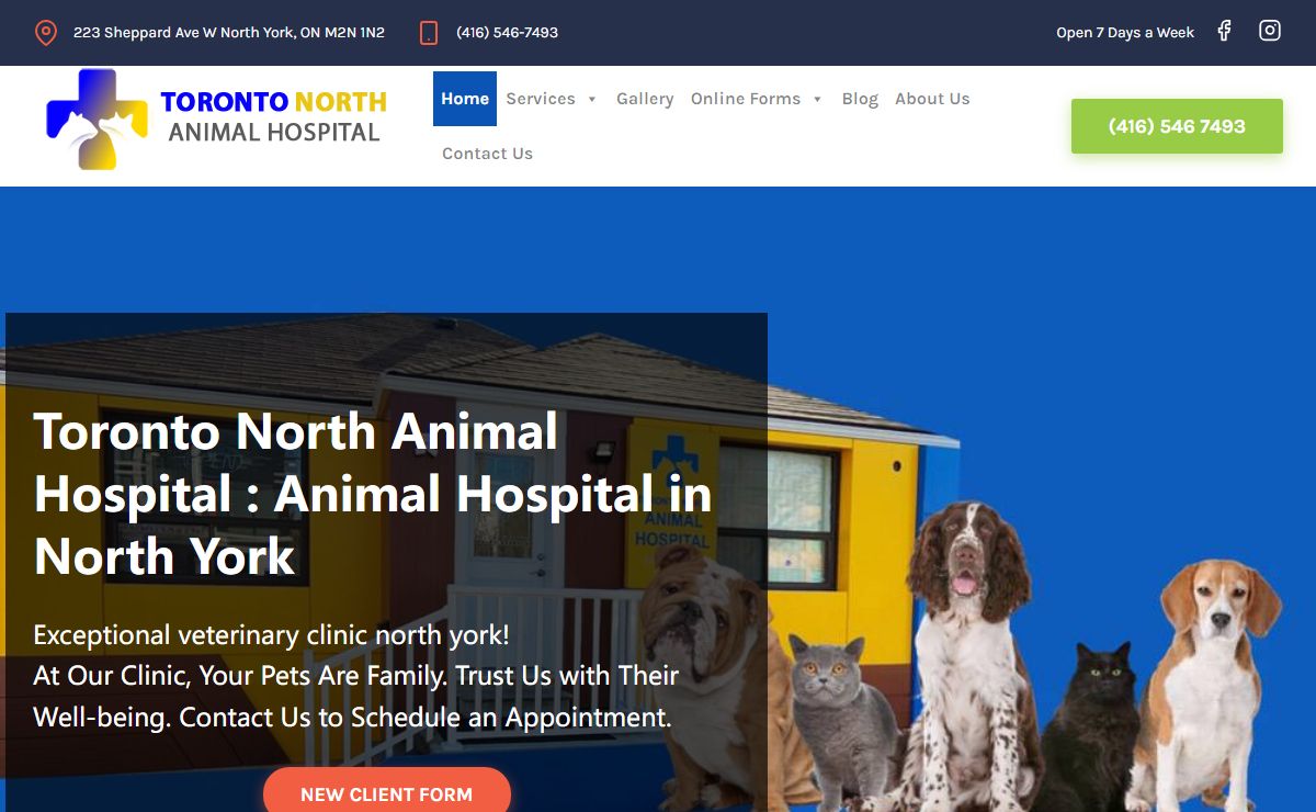 Vet Clinic North York | Vet Near me | Toronto Nort Animal Hospital