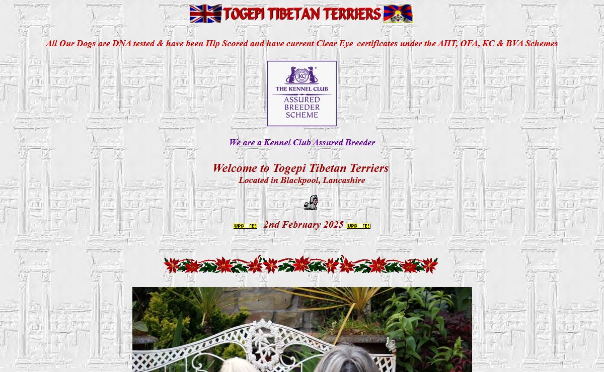 TOGEPI TIBETAN TERRIERS