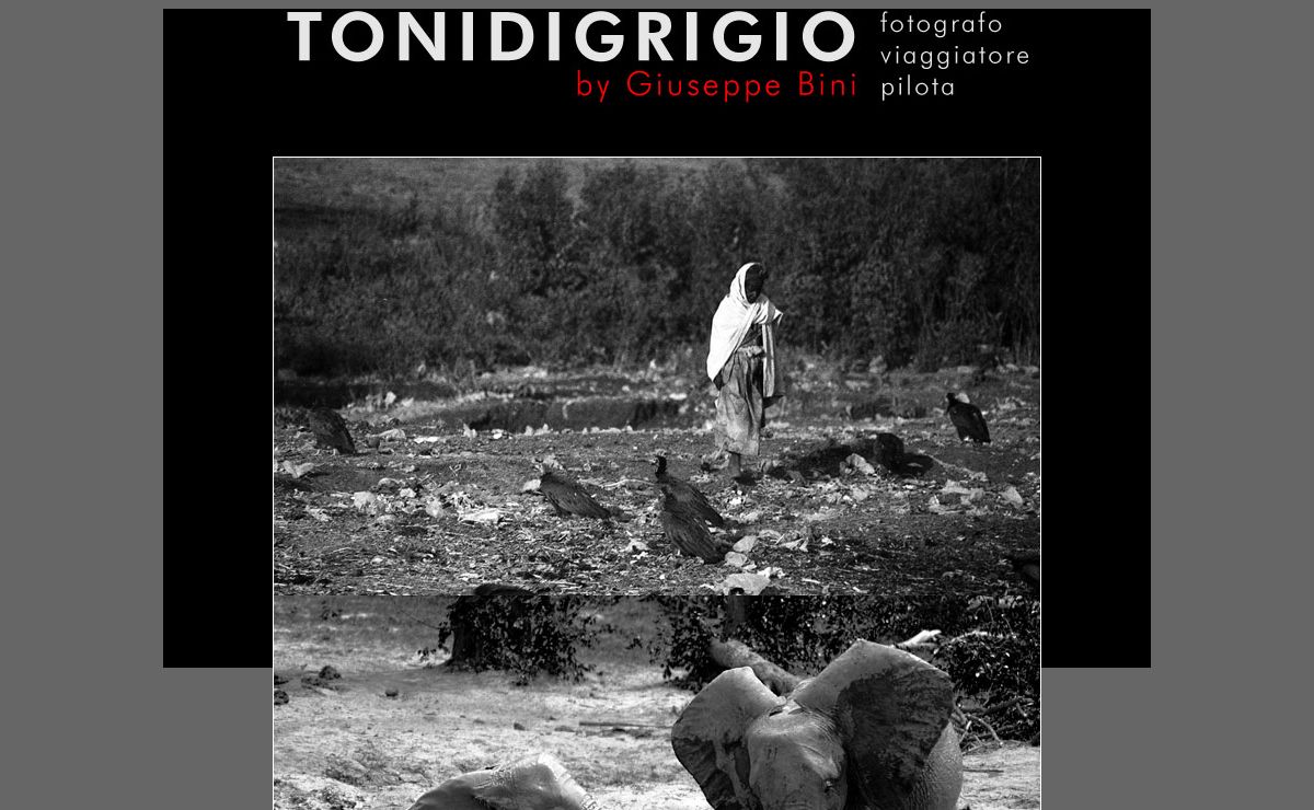 www.tonidigrigio.com