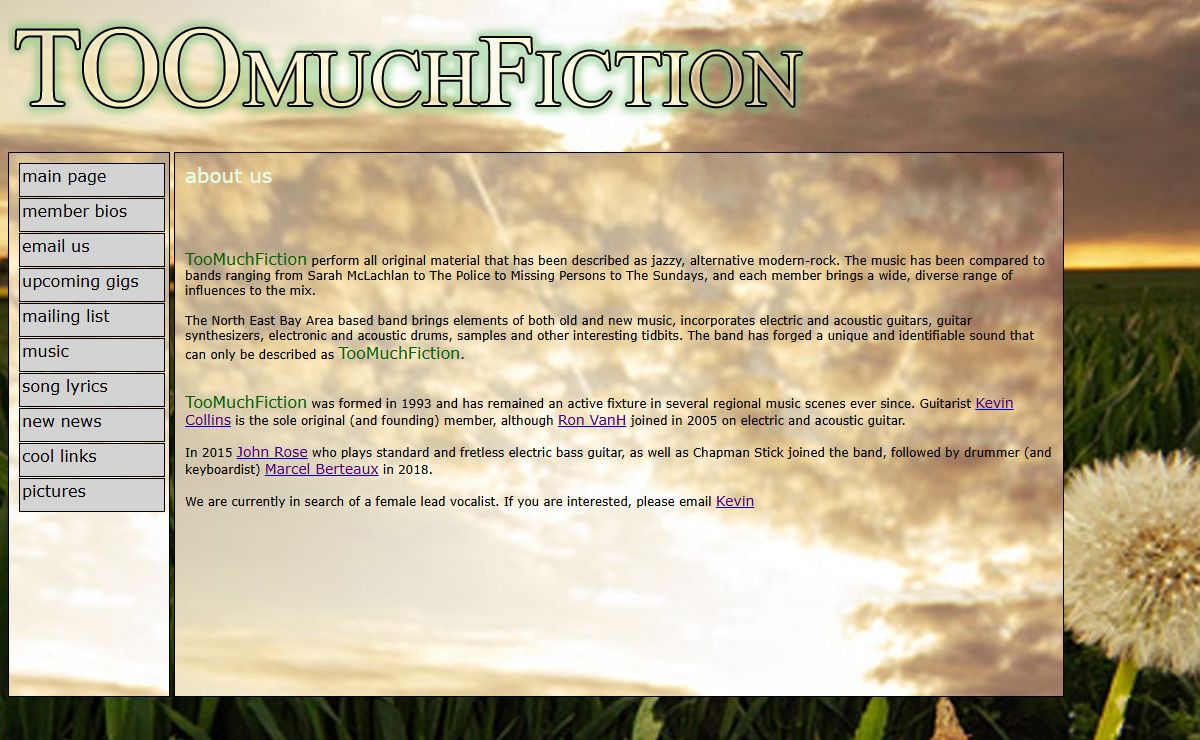 TooMuchFiction