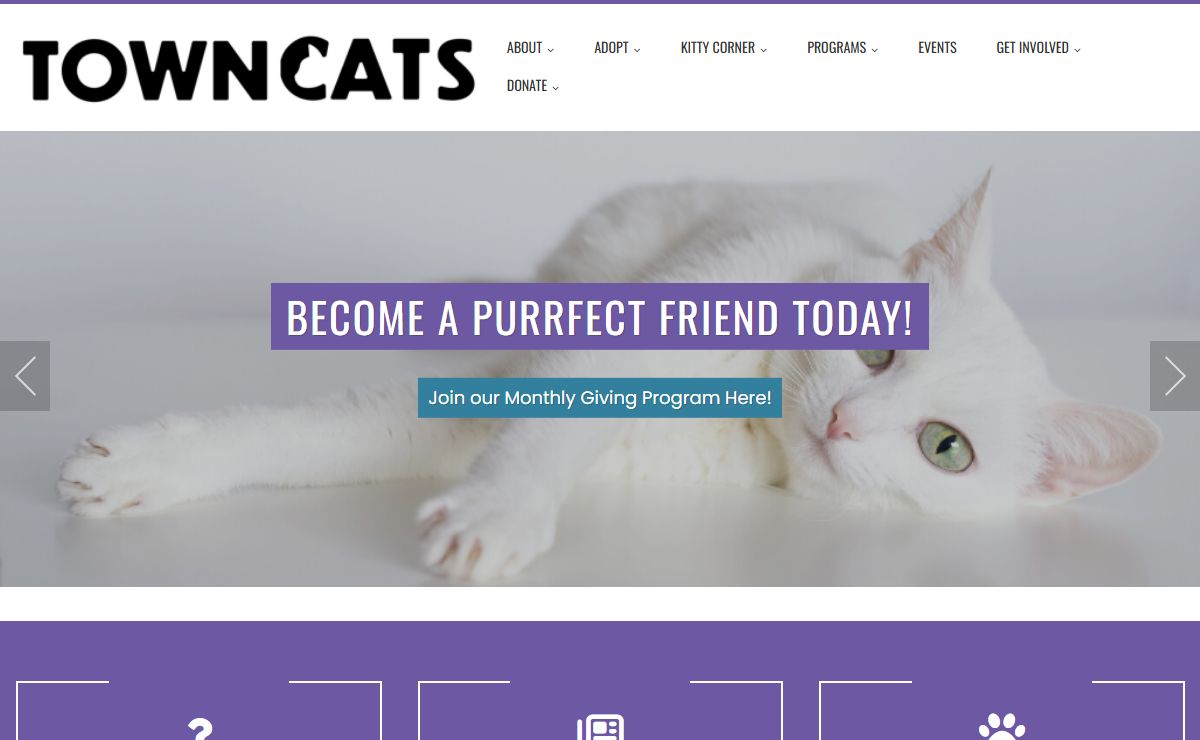 Town Cats – Adopt your purrfect friend for life!