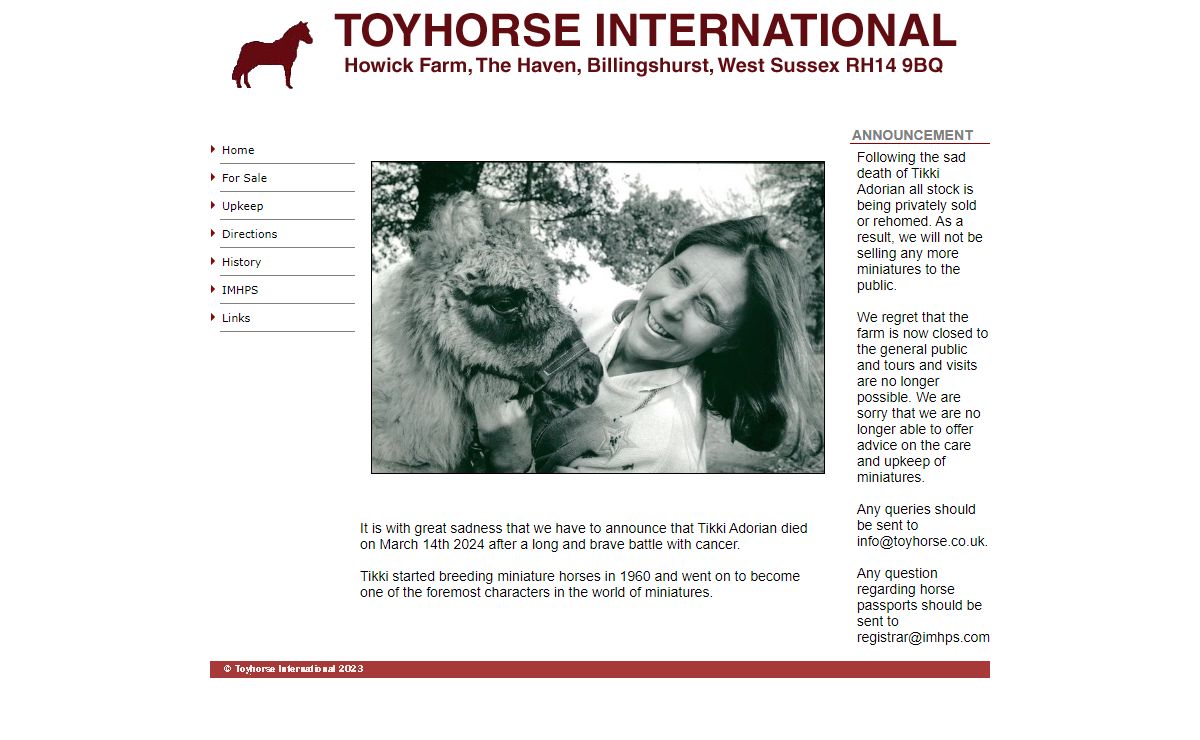 Toyhorse International |