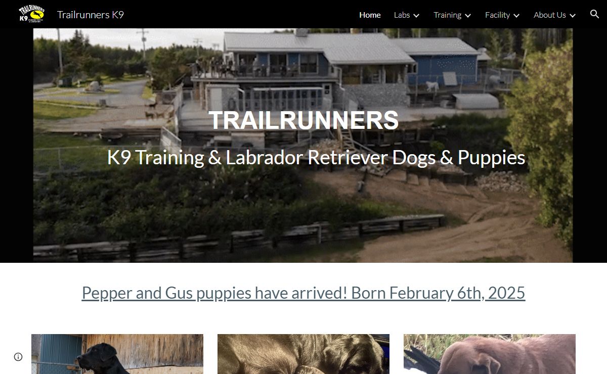 Trailrunners K9