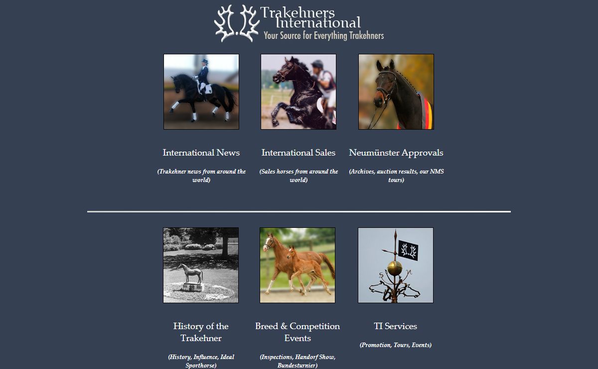 Trakehners International HOME