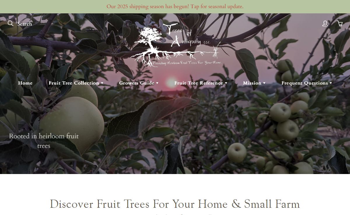 Heirloom Fruit Trees for Home & Farm Trees of Antiquity rooted organic