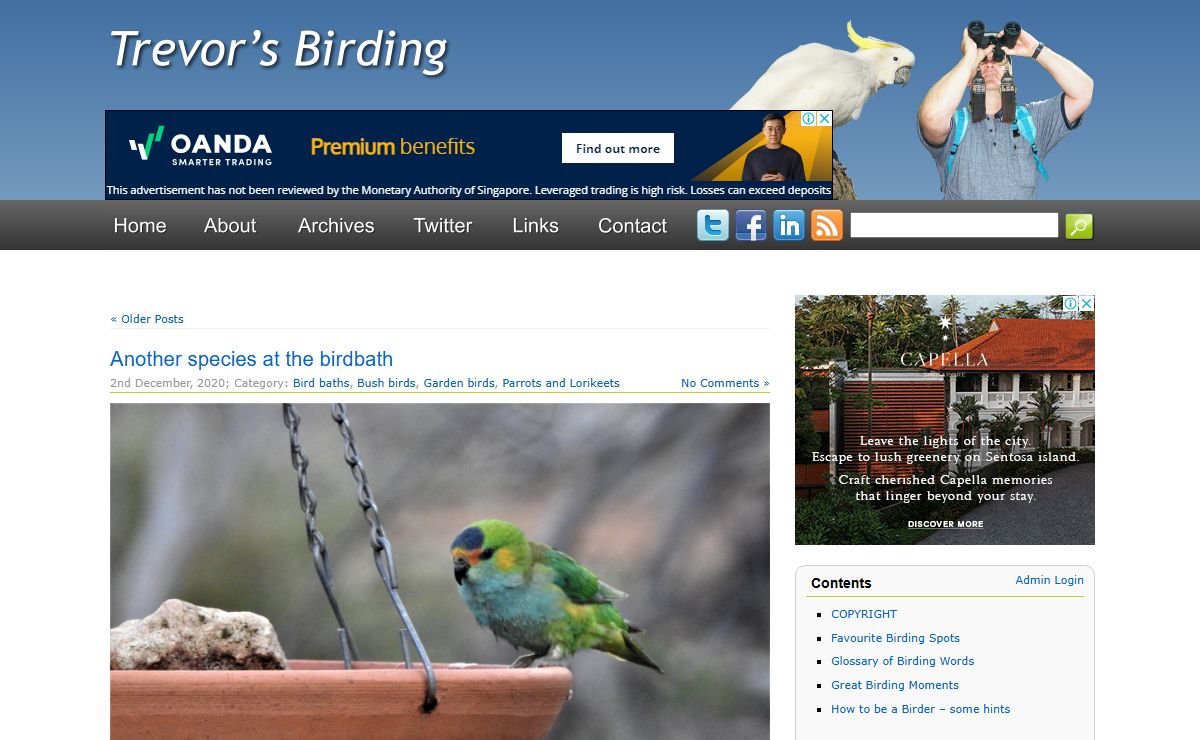 Trevor's Birding