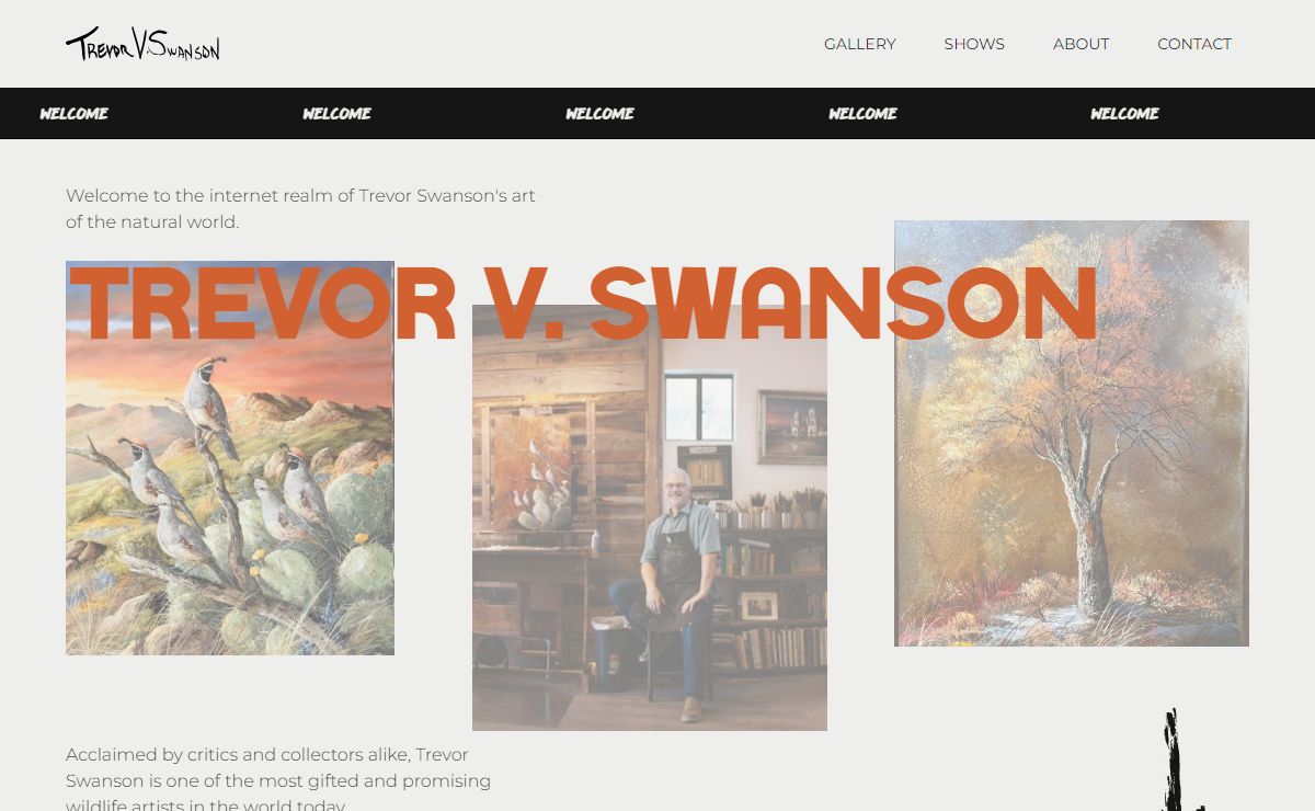 Trevor V. Swanson | Fine Art