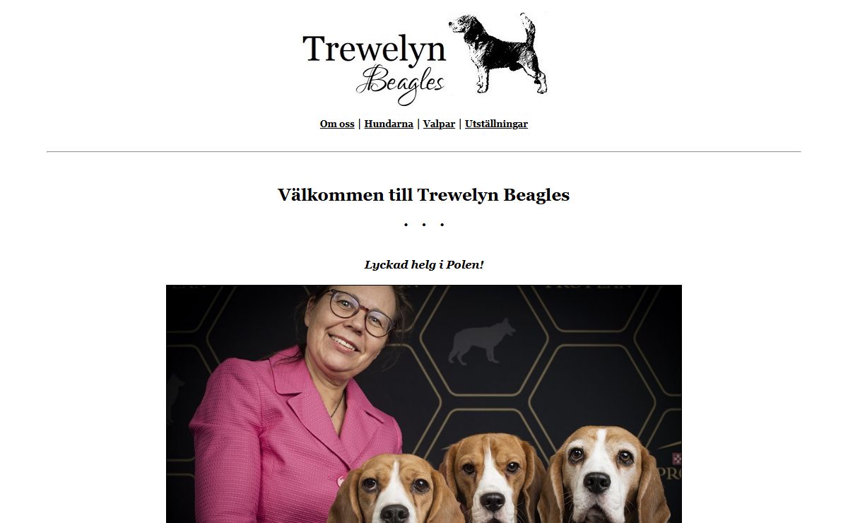 .: Trewelyn Beagles :.