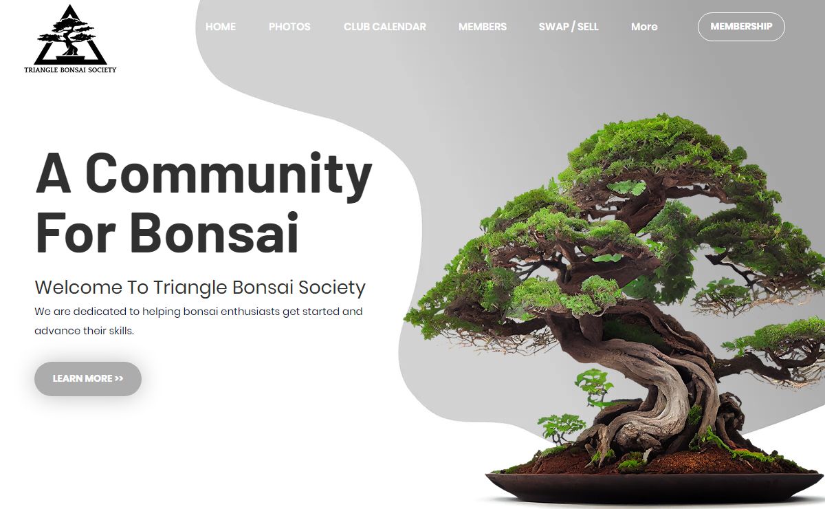 Triangle Bonsai Society