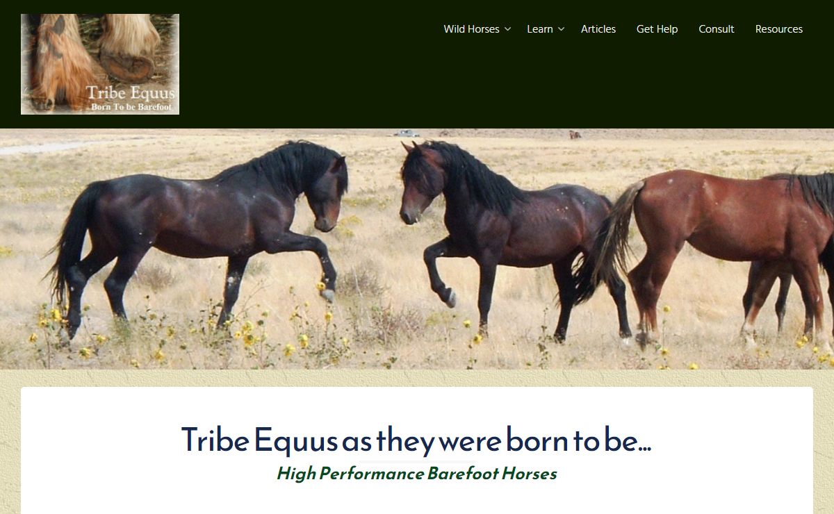 Tribe Equus