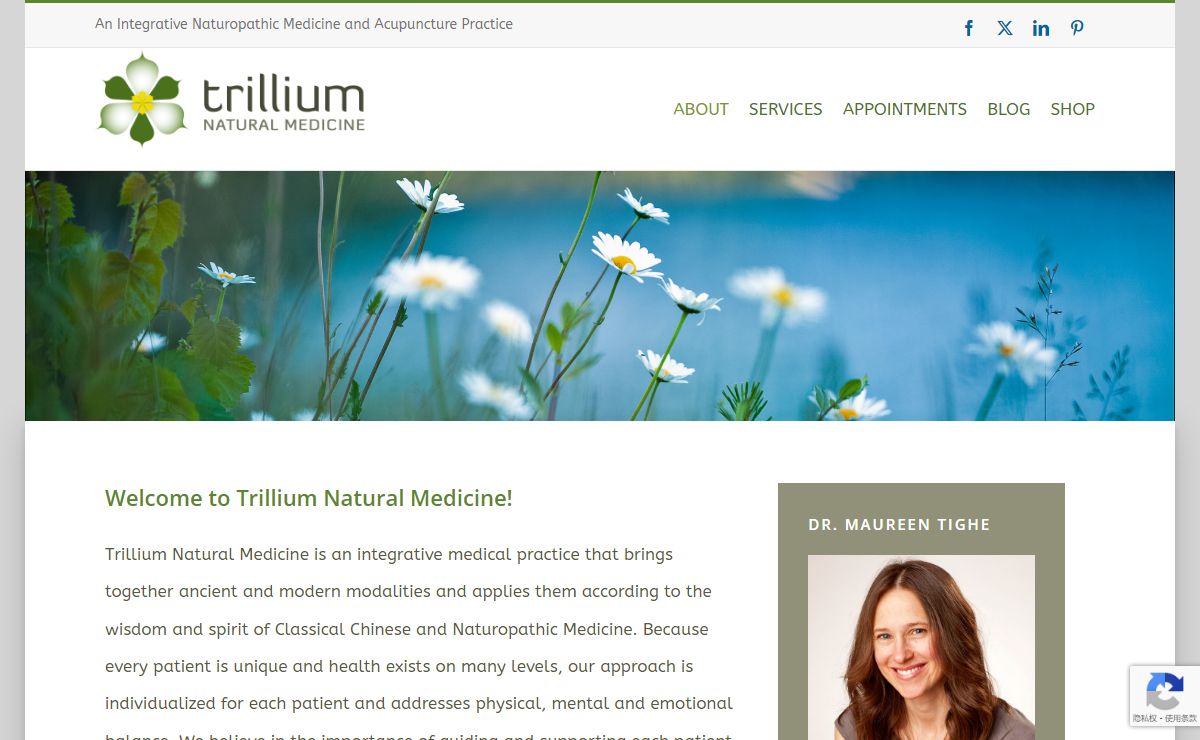 Trillium Natural Medicine | Pittsburgh, PA