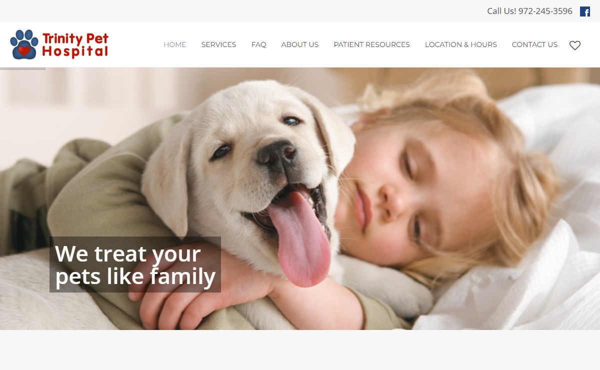 Trinity Pet Hospital | Dr. Paul Keating, Veterinarian | Carrollton, Texas