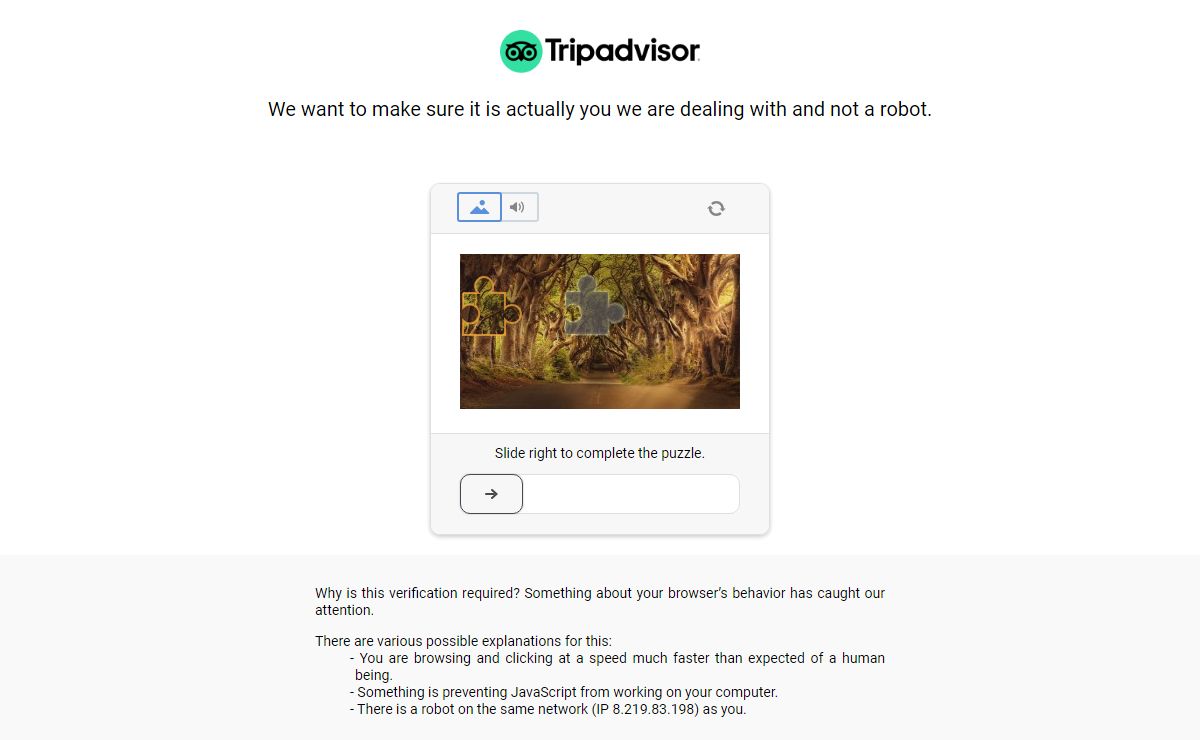 tripadvisor.cl