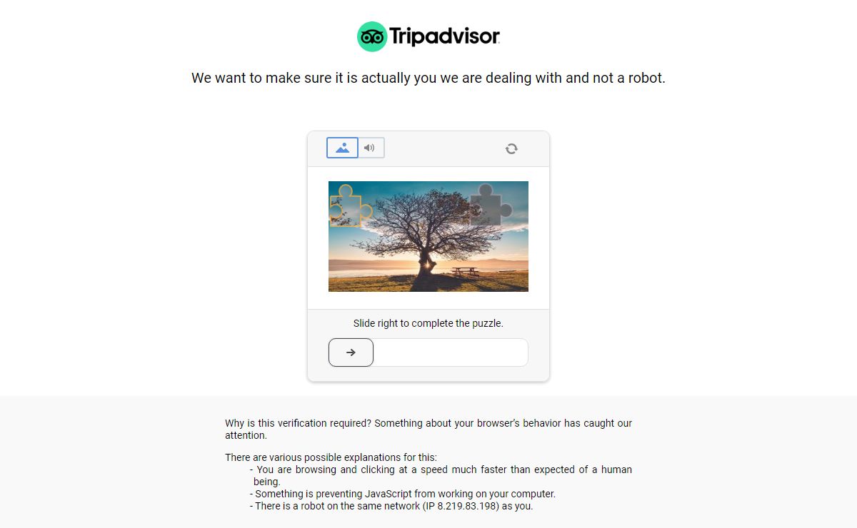 tripadvisor.co.il