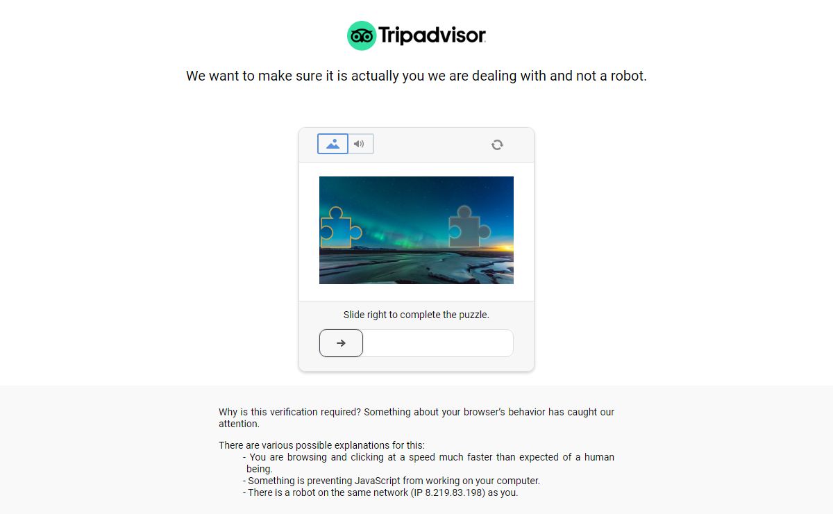 tripadvisor.co.za