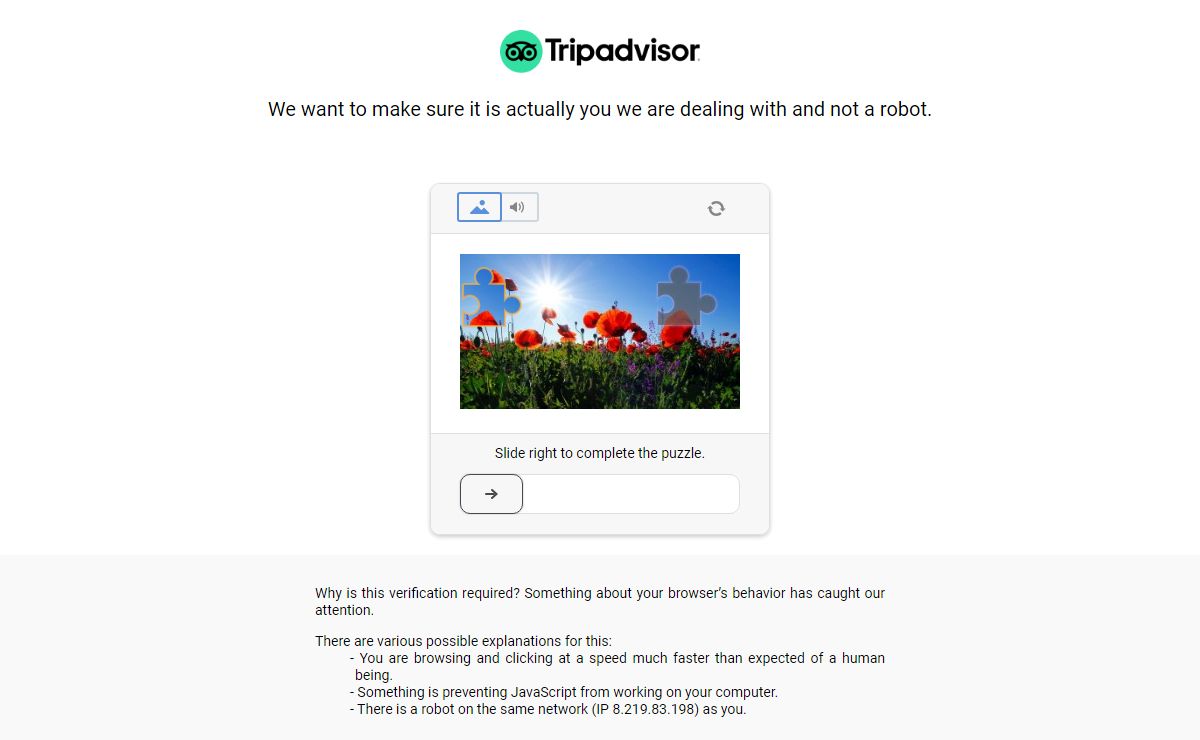 tripadvisor.com