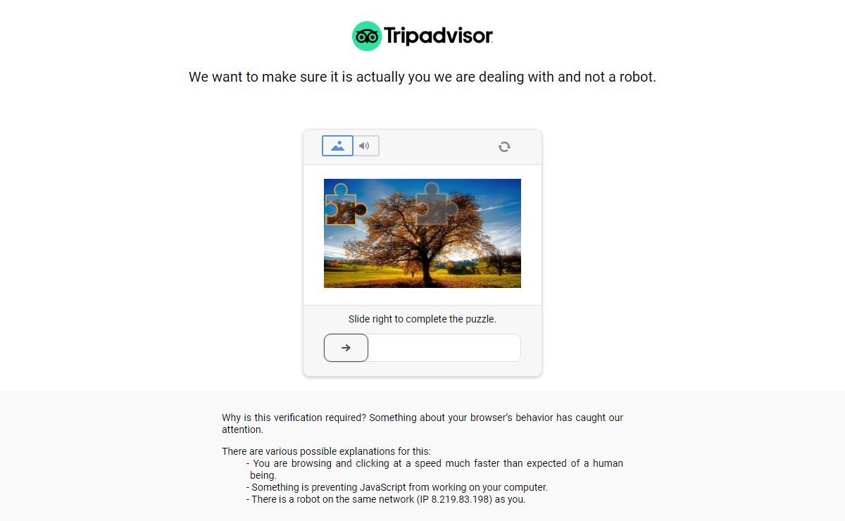 tripadvisor.es