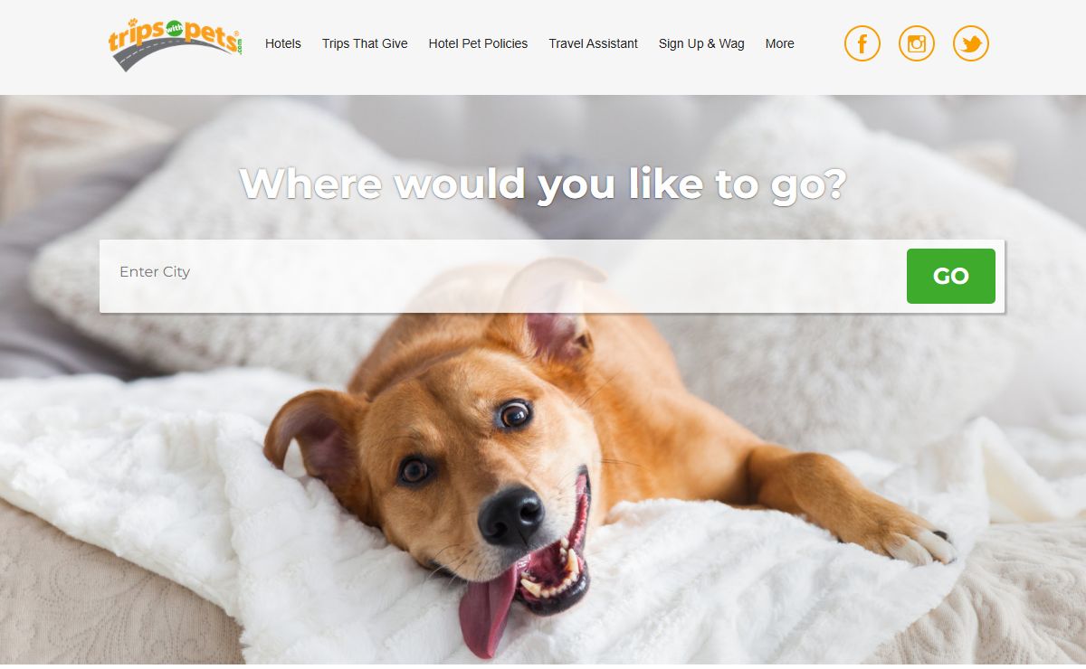 Top Pet Friendly Hotels Across the US & Canada | TripsWithPets
