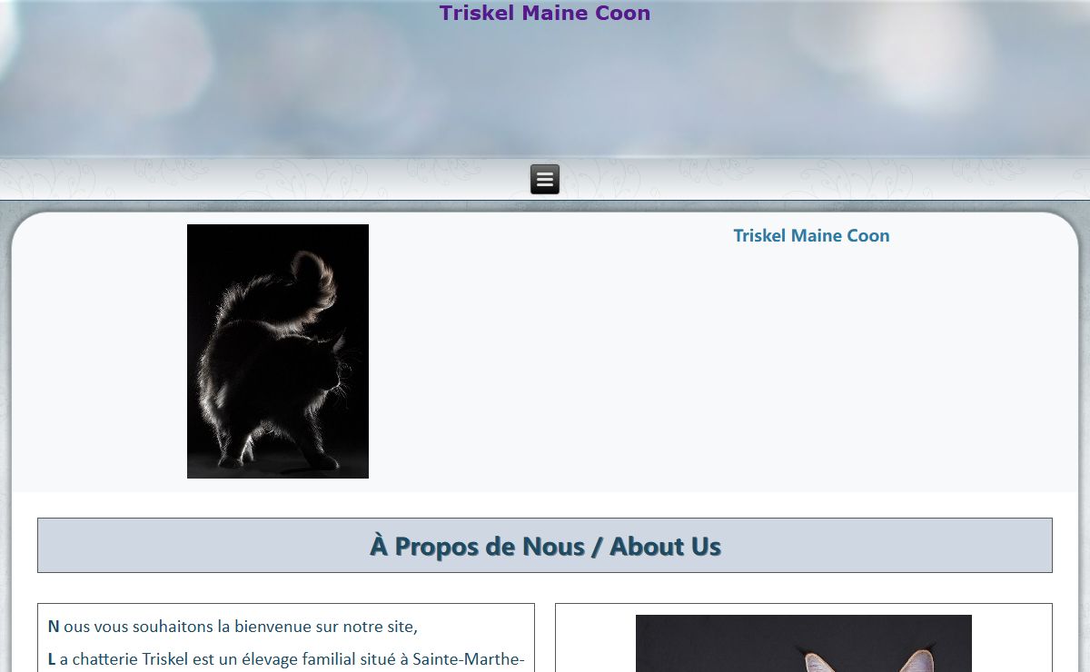 Triskel Maine Coon