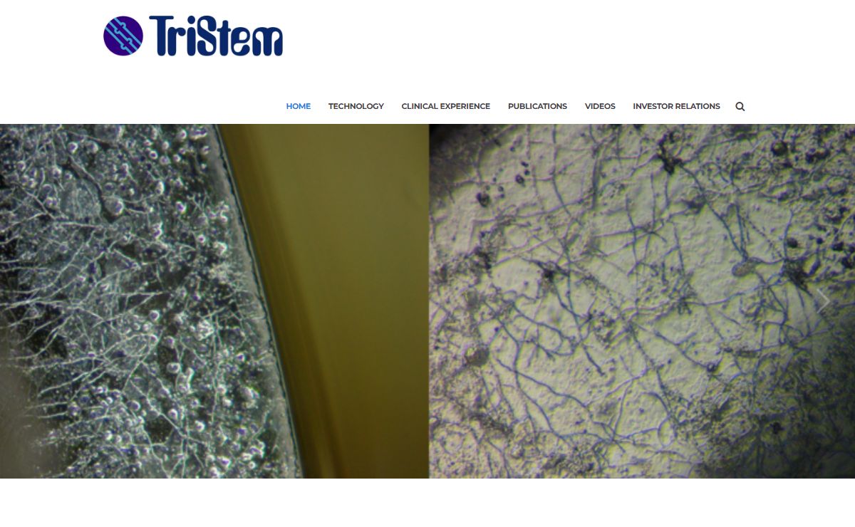 TriStem Limited