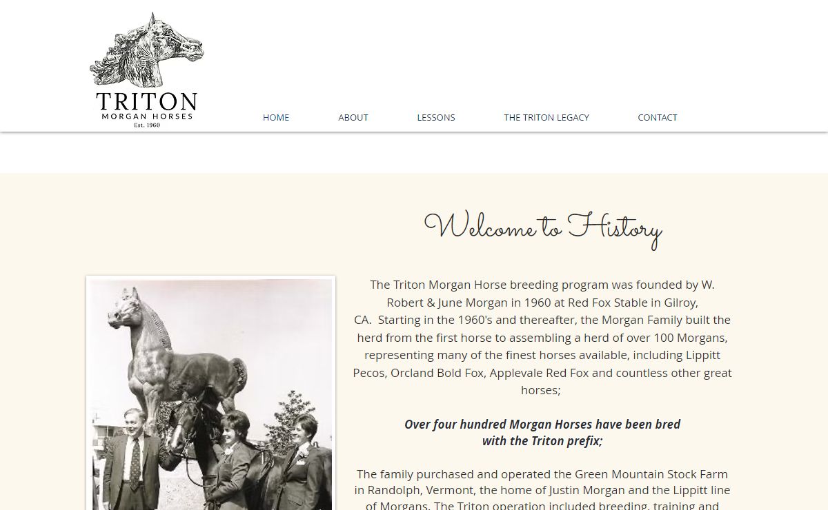 Home | Triton Morgan Horses | Hollister, Ca