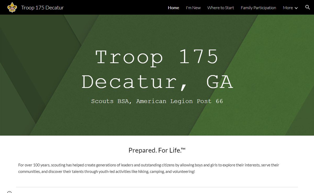 Troop 175 Decatur