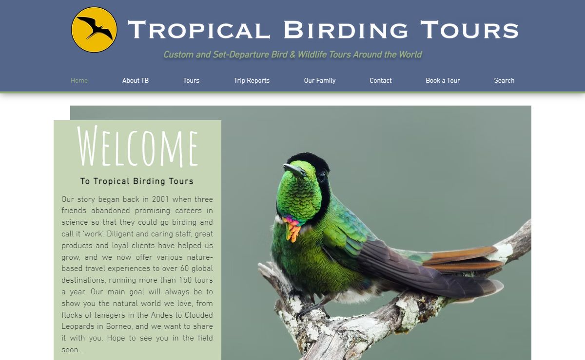 Tropical Birding | Custom and Set Departure Wildlife Tours Around the World