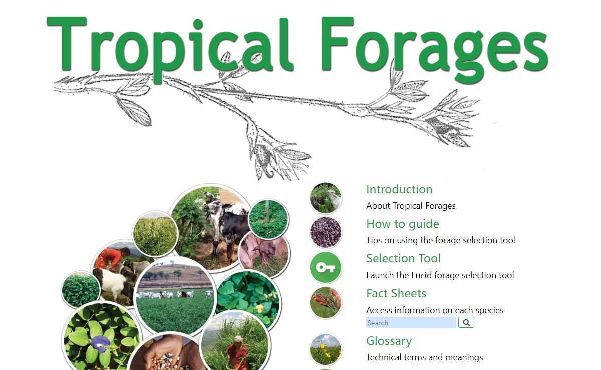 Tropical Forages–an interactive selection tool