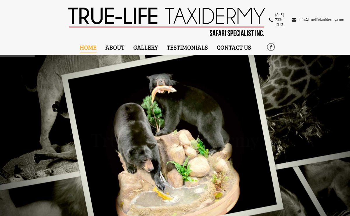 True-Life Taxidermy | Your Trophy in True to Life