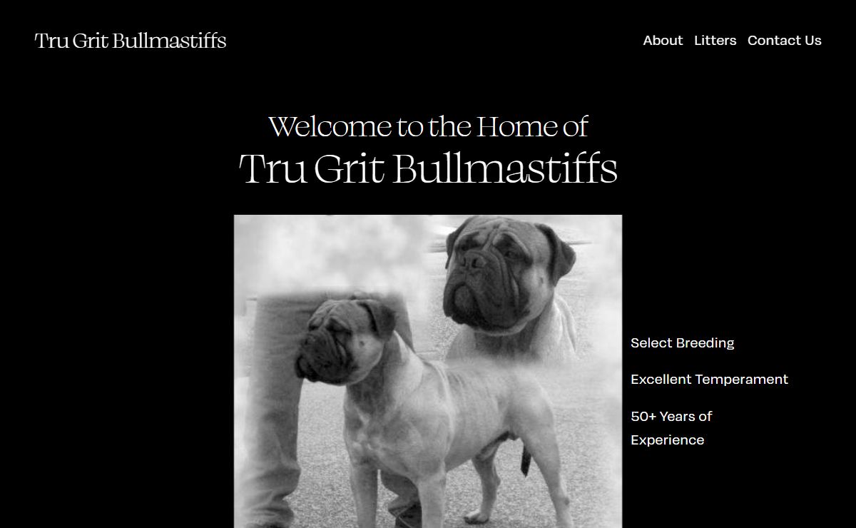 Tru Grit Bullmastiffs