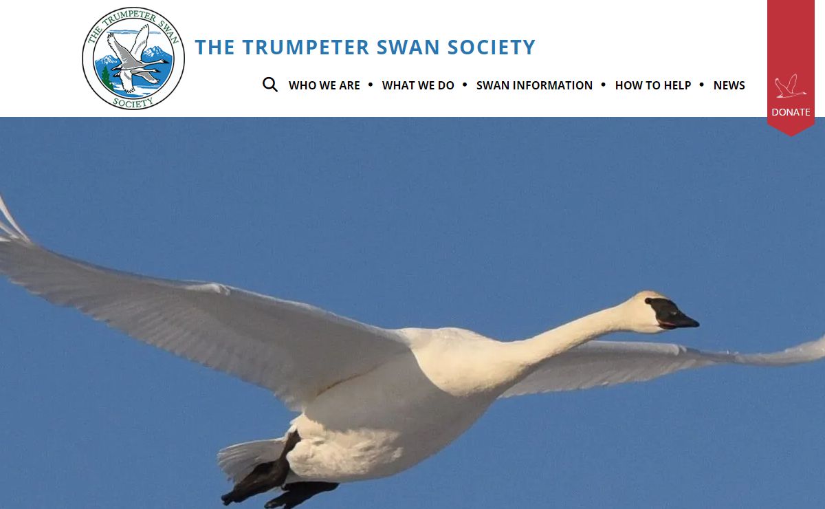 Trumpeter Swan Society|Plymouth, MN