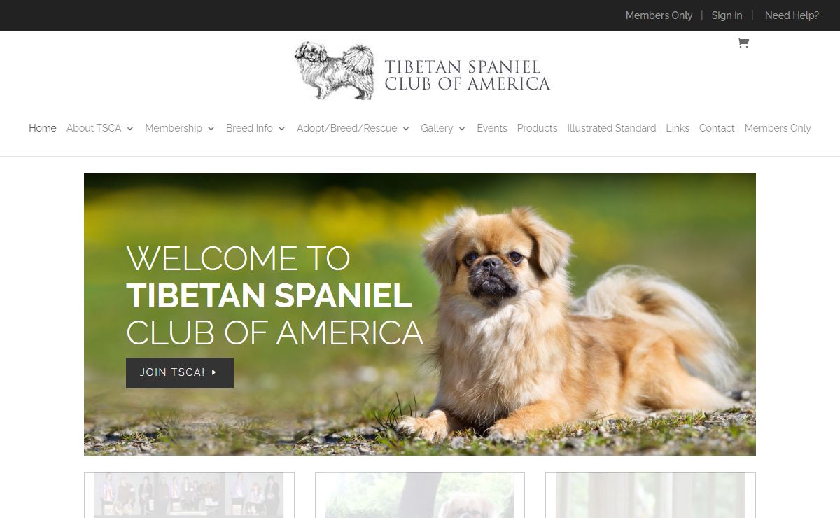 Home - Tibetan Spaniel Club of America