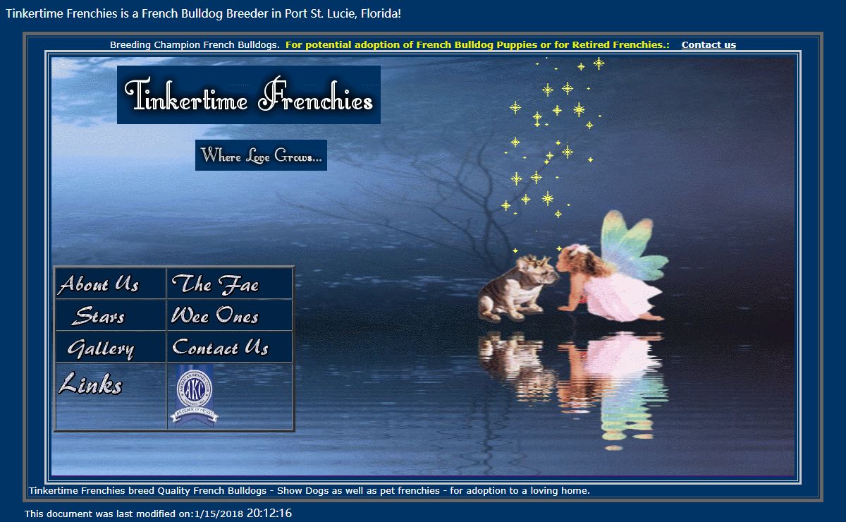 Tinkertime Frenchies, French Bulldog Breeder, Frenchies in Florida
