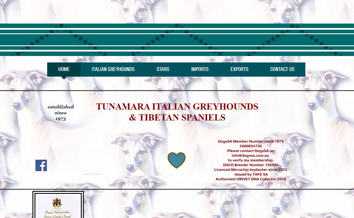 Italian Greyhound | Tunamara Italian Greyhounds and Tibetan Spaniels