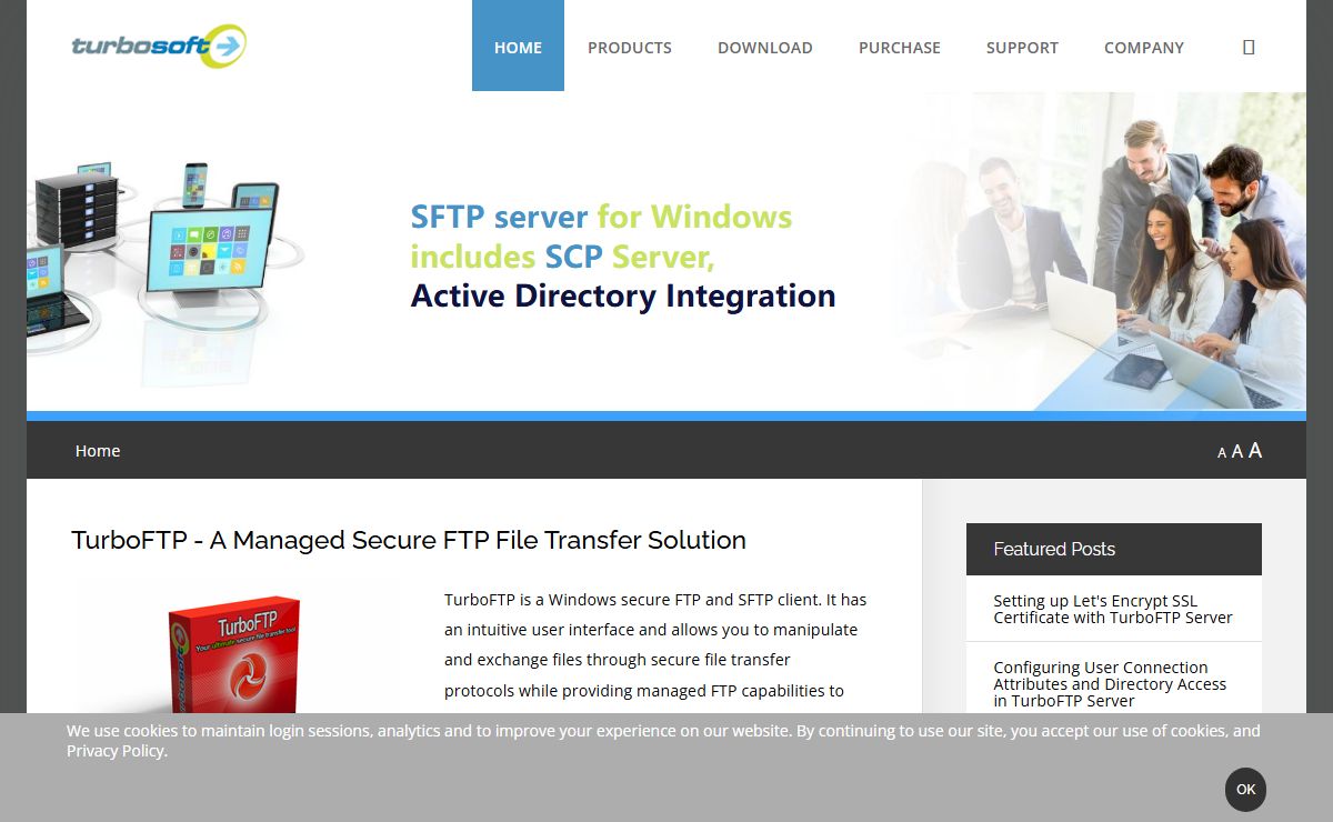 Managed File Transfer Solutions, SFTP Server - TurboSoft