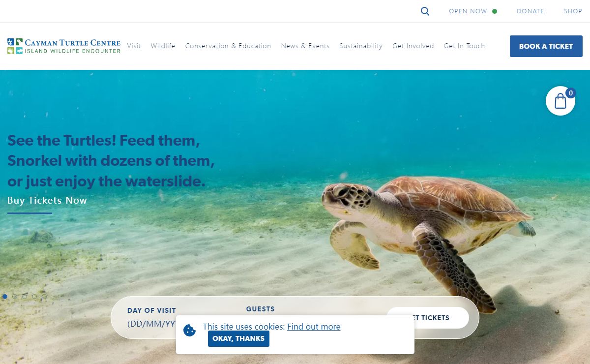 Cayman Turtle Centre - Explore the Best Grand Cayman Excursions
