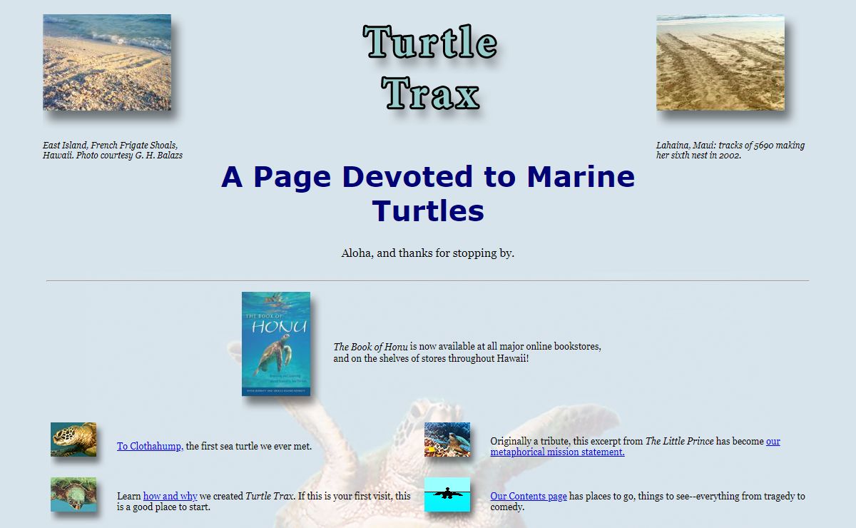 Turtle Trax - A Sea Turtle Page