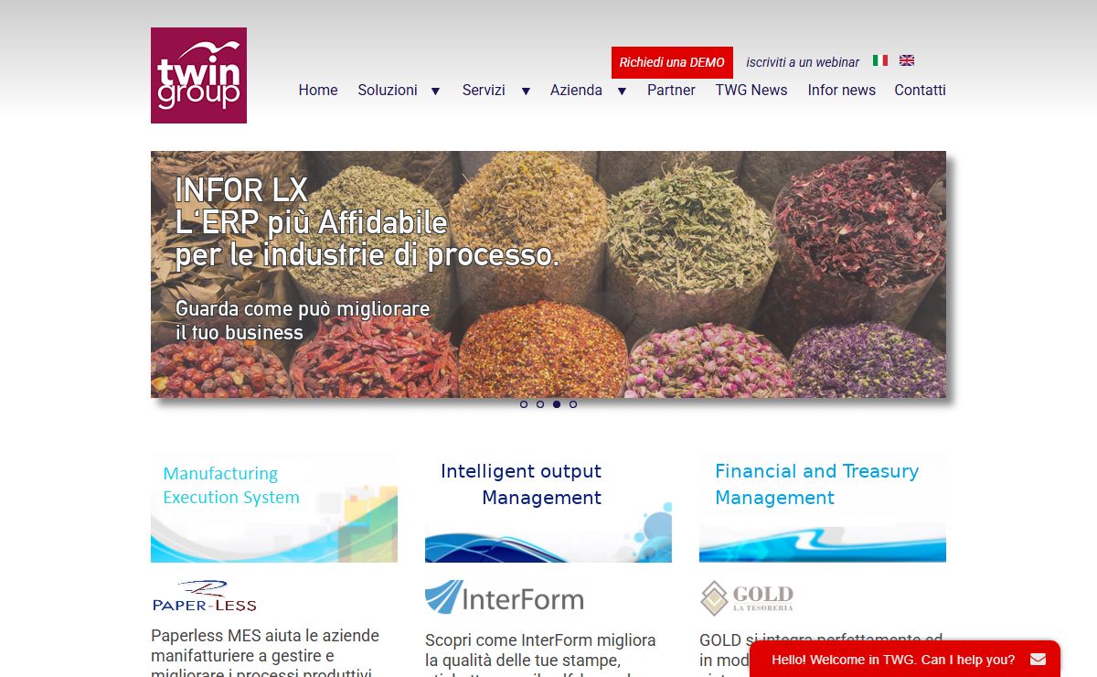 TwinGroup | Erp solution provider