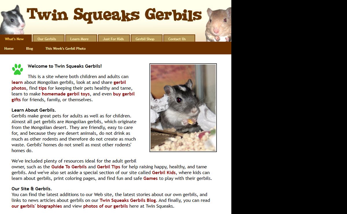 Twin Squeaks Gerbils