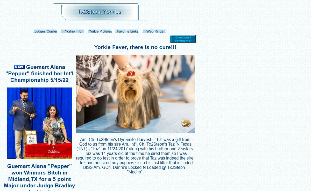 Tx2Stepn Yorkies