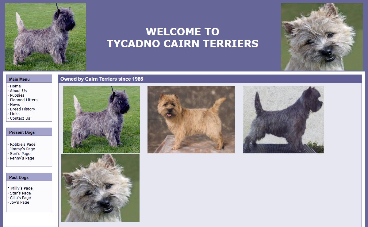 Tycadno Cairn Terriers - Homepage