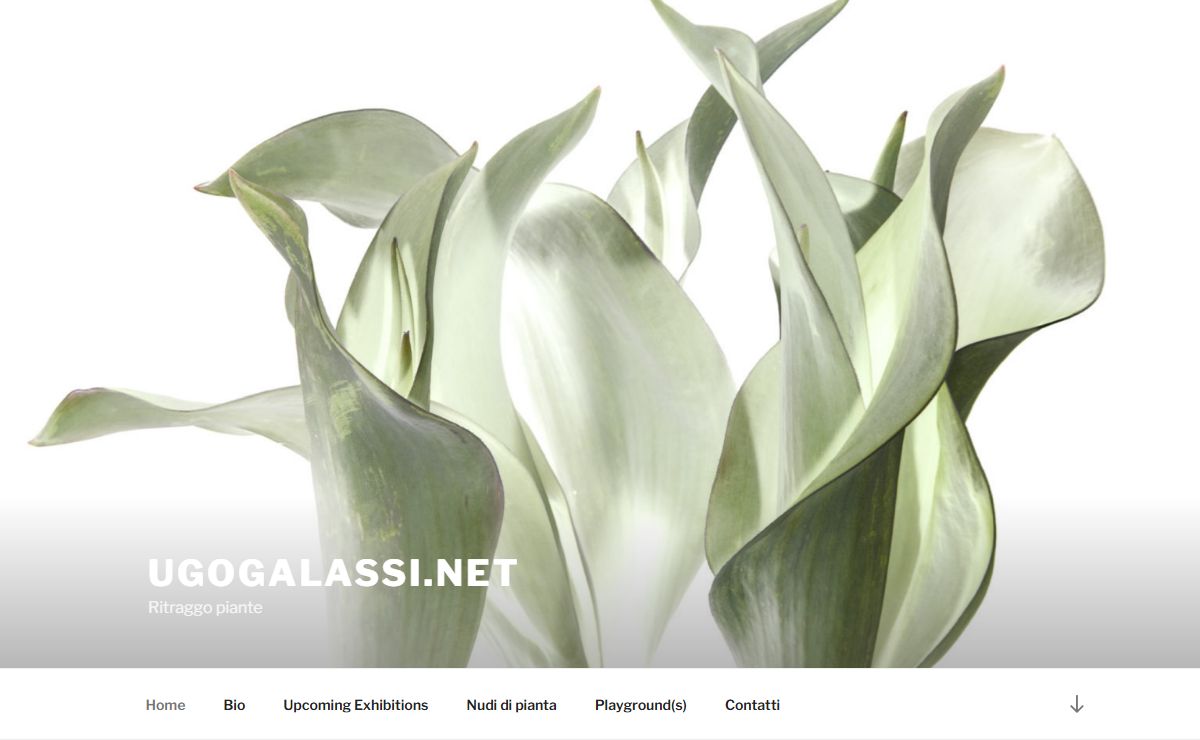 UgoGalassi.net – Ritraggo piante