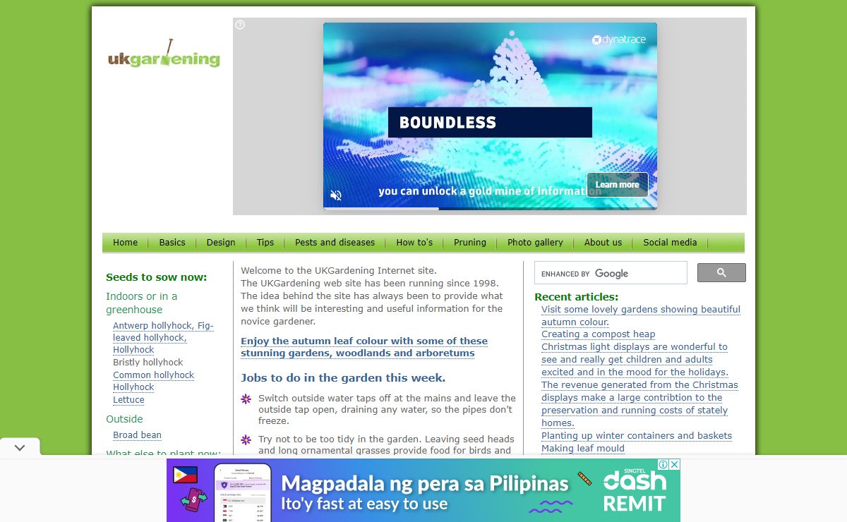 UK Gardening offers gardening information, help and ideas for the beginner gardener, including weekly gardening tips and some of the basics of gardening.